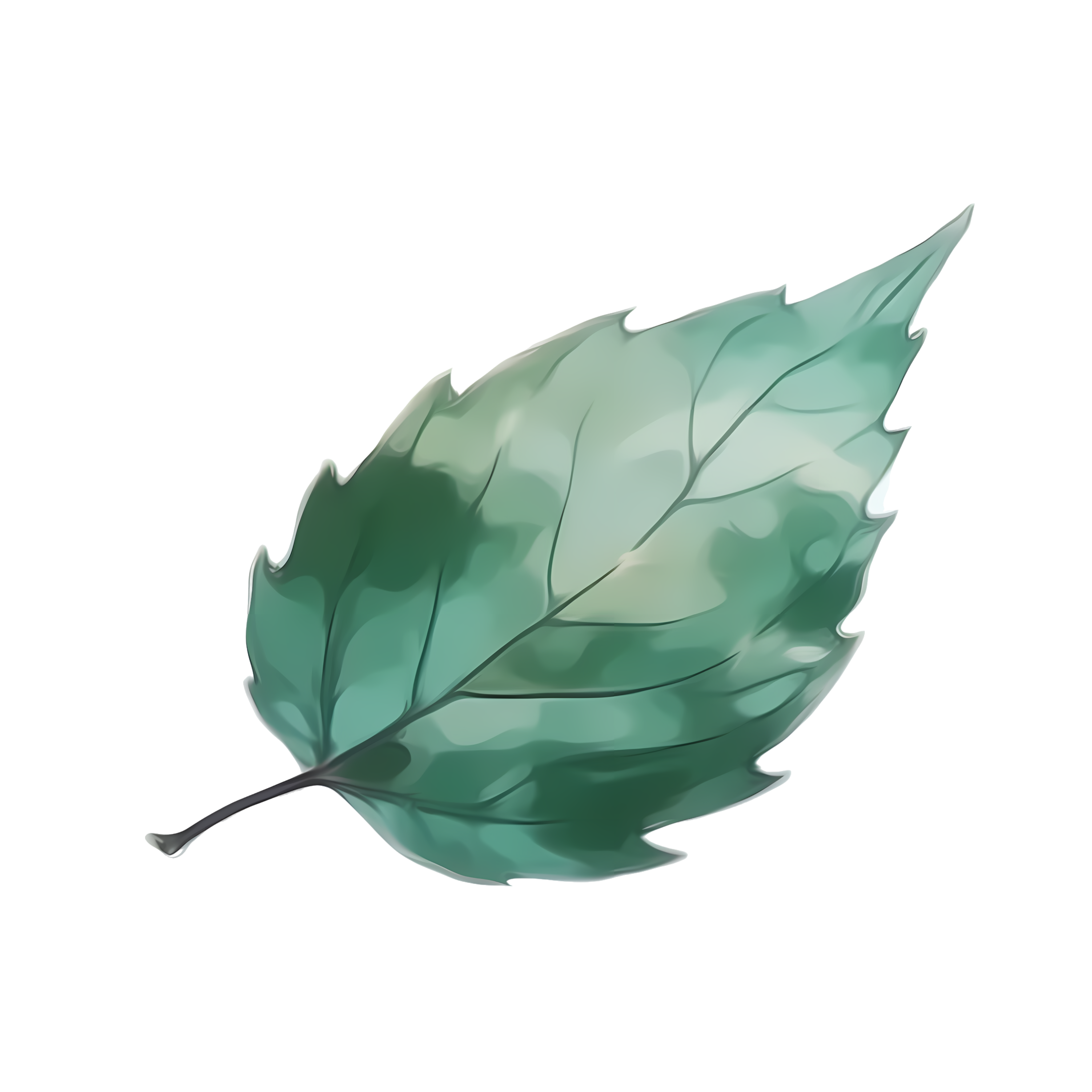 手绘唯美树叶插画PNG