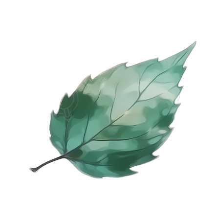 手绘唯美树叶插画PNG