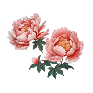 清风画飘香：粉色花瓣素描PNG图形素材