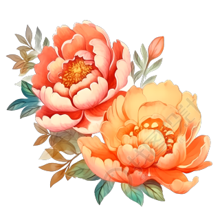 橙色牡丹花国风风格花卉PNG素材
