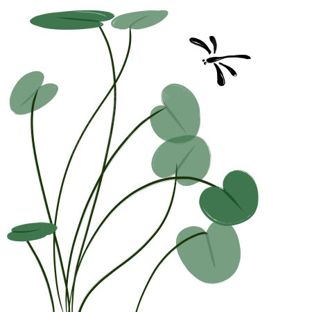荷叶与蜻蜓