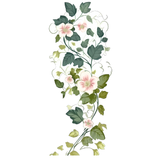 手绘花藤PNG图形素材