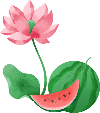 手绘唯美荷花西瓜插画素材
