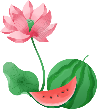 手绘唯美荷花西瓜插画素材
