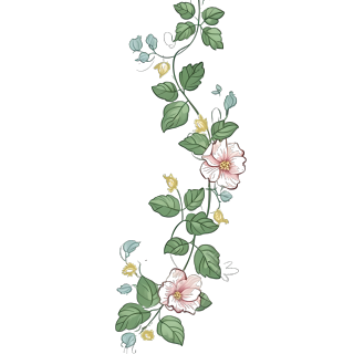 彩色浪漫手绘花藤PNG图形素材