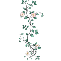 粉色小花手绘花藤PNG图形素材