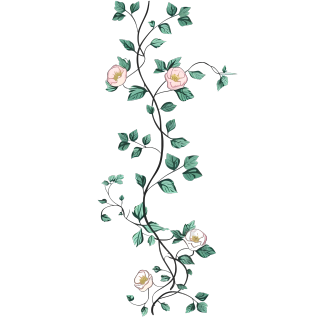 粉色小花手绘花藤PNG图形素材