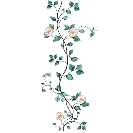 粉色小花手绘花藤PNG图形素材
