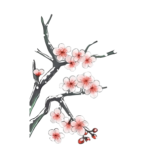 手绘梅花图案PNG素材