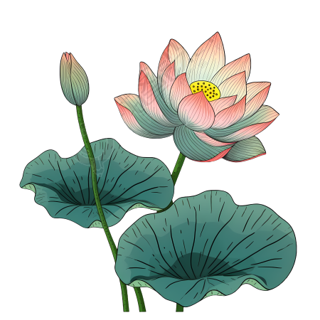 手绘荷花PNG图形素材