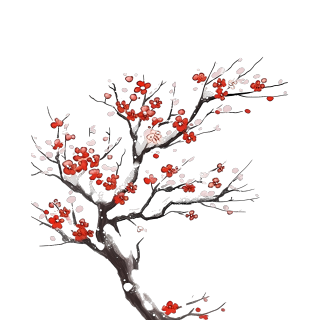 手绘梅花插画PNG素材