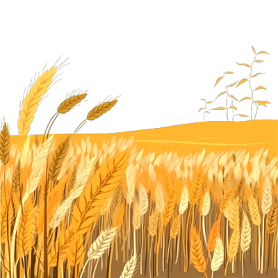 手绘插画金色麦田PNG素材