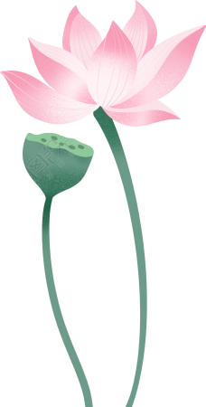 荷花莲蓬创意设计素材