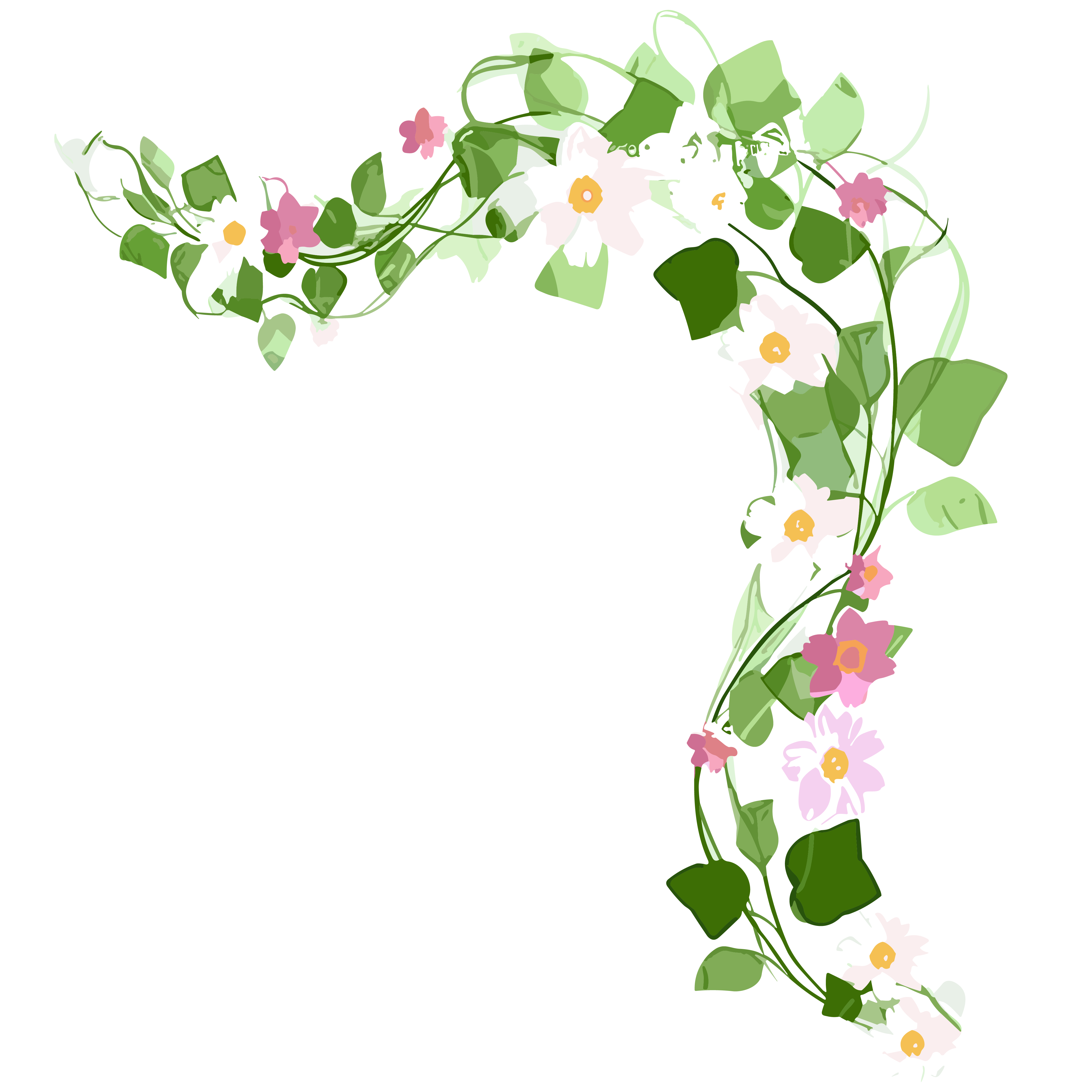 花藤矢量素材