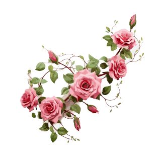 透明背景花束插画设计元素