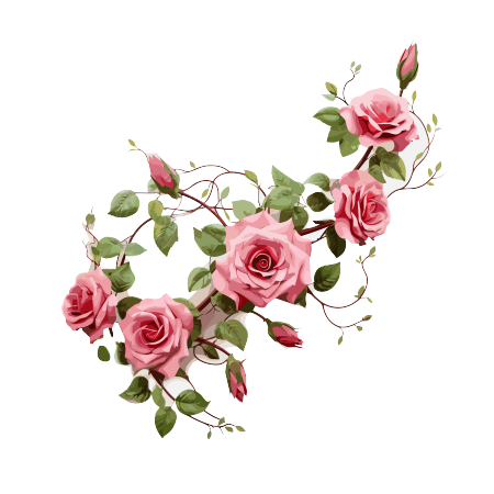 透明背景花束插画设计元素