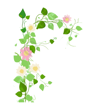 粉色白色小花花藤