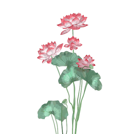 透明背景粉色莲花高清图形素材