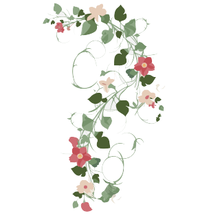花边花藤矢量图