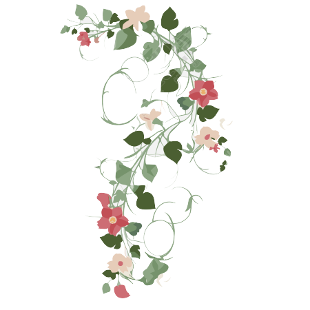 花边花藤矢量图