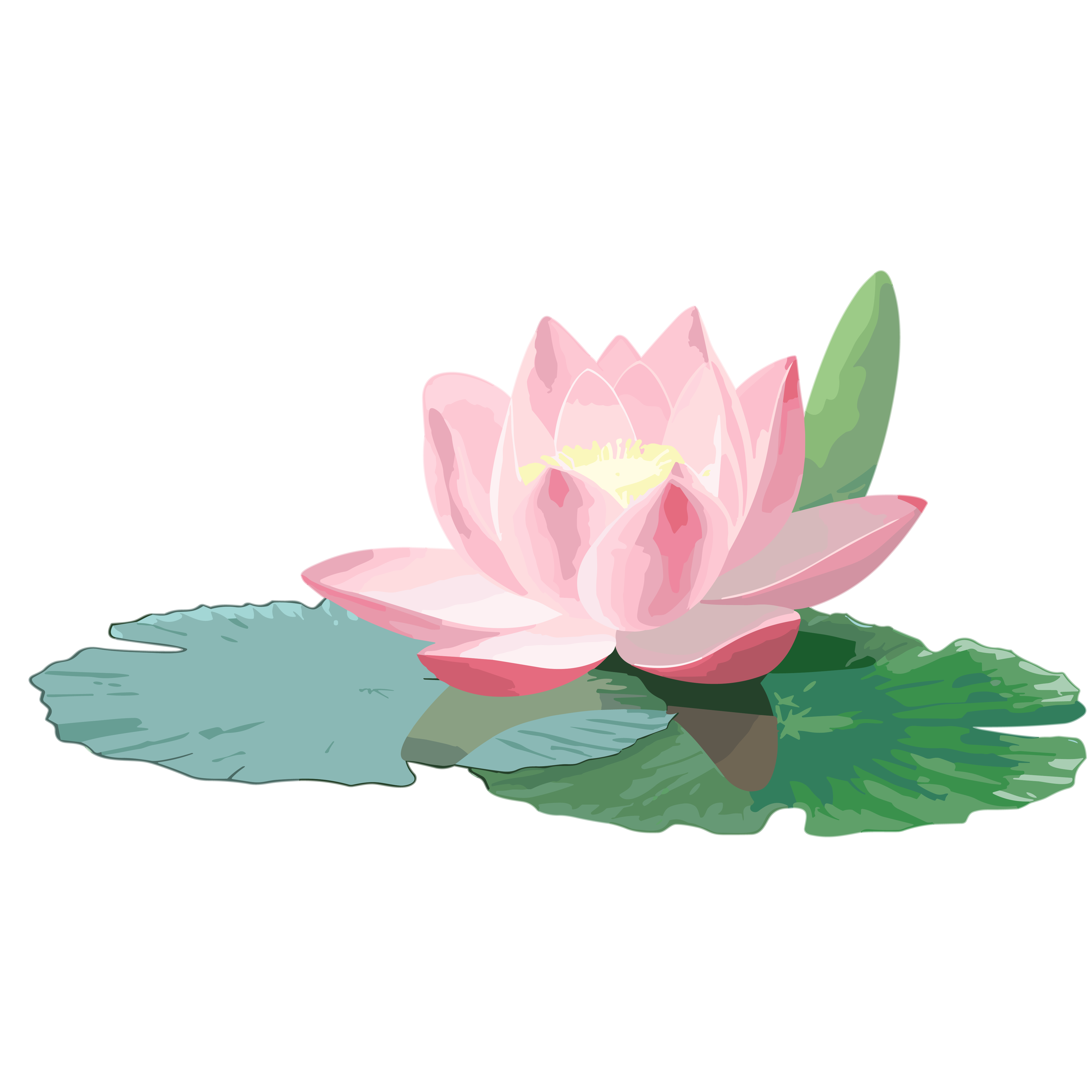 粉色莲花彩色扁平插画设计元素