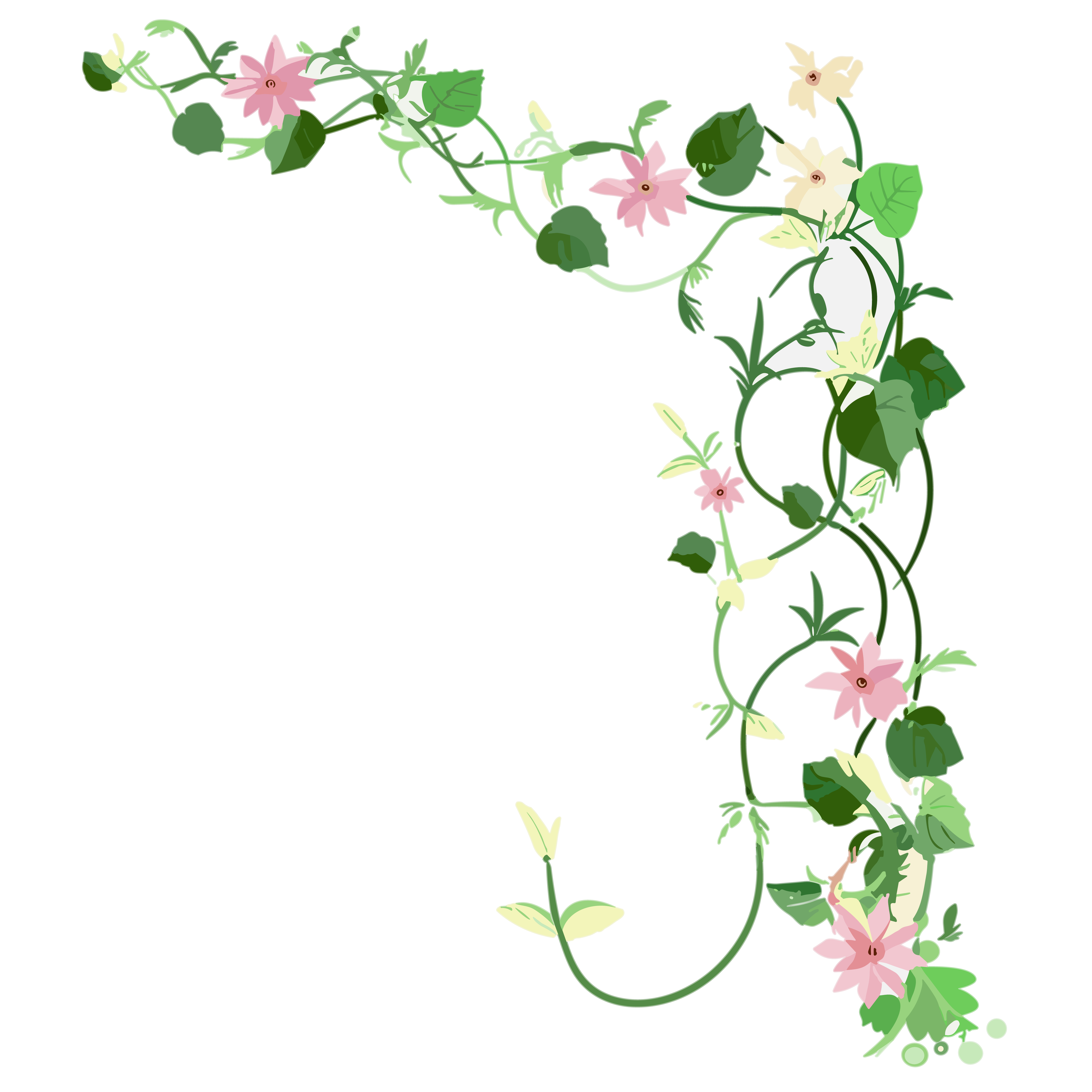 花藤透明背景素材