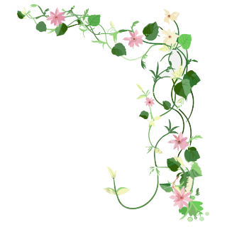 花藤透明背景素材