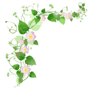 花藤矢量插画