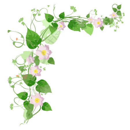 花藤矢量插画