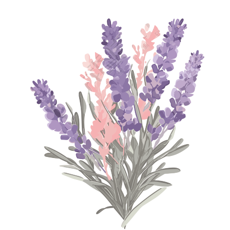 花束插画-透明背景-高清-创意设计
