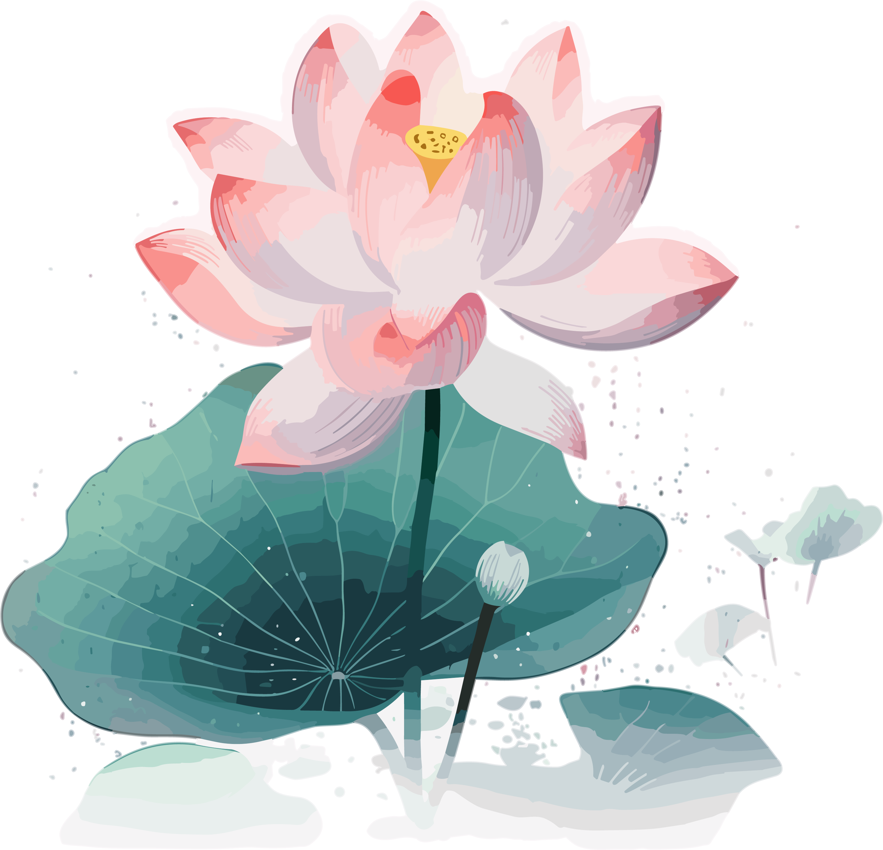 夏日的荷花透明背景的矢量几何插画