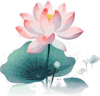 夏日的荷花透明背景的矢量几何插画