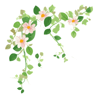 花藤矢量插画设计