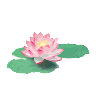 夏日池塘里的荷花透明背景高清图形素材