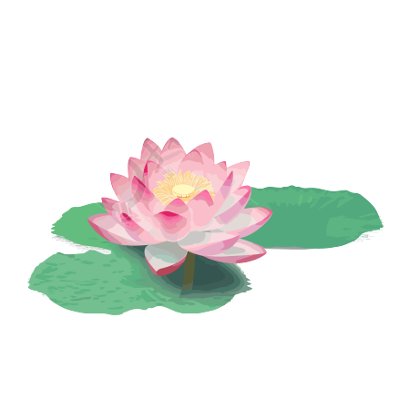 夏日池塘里的荷花透明背景高清图形素材