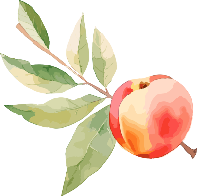 日常水果脆桃桃树枝插画素材