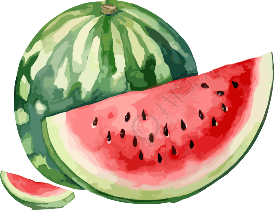 动态插画设计水彩西瓜及其一片元素