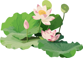 清新莲花和莲叶元素