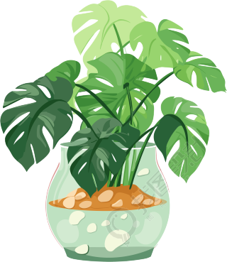 绿植透明背景高清创意设计