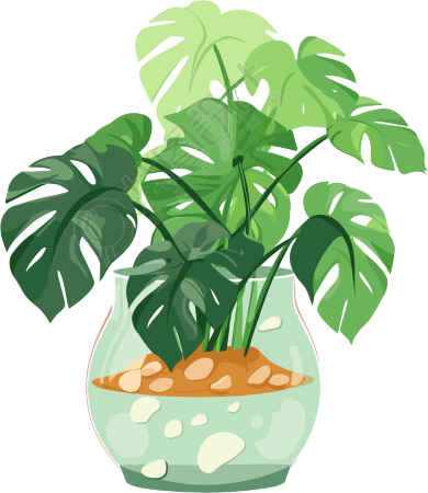 绿植透明背景高清创意设计