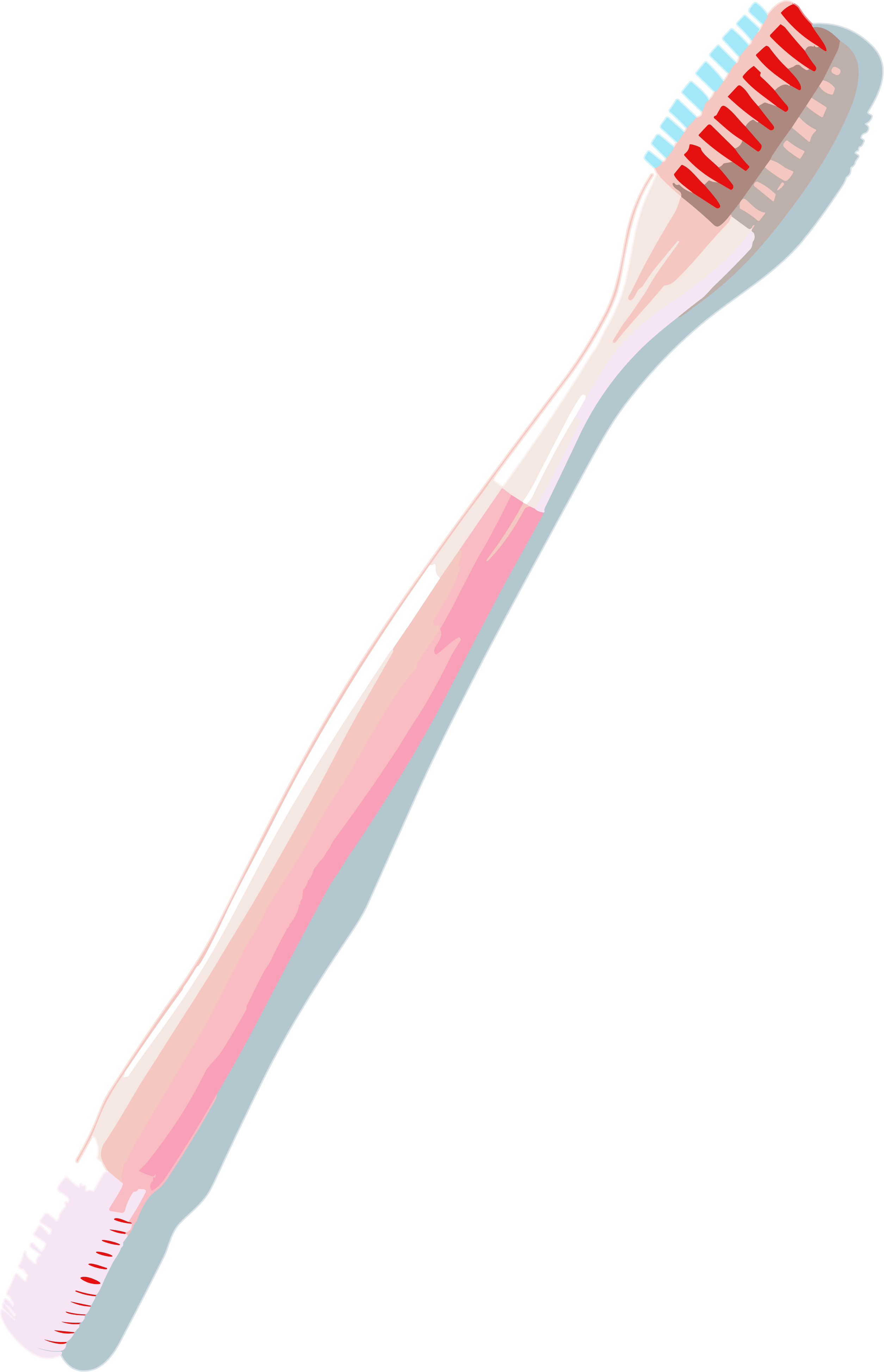 透明背景牙刷插画素材
