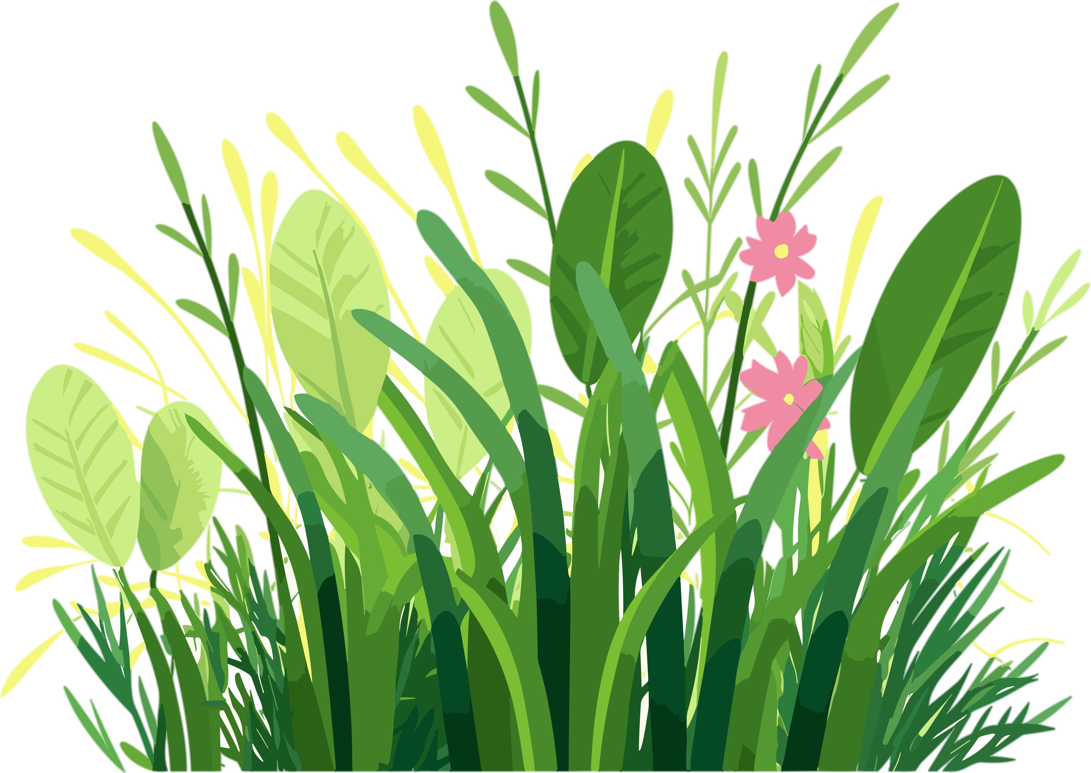 透明背景的矢量草图插画