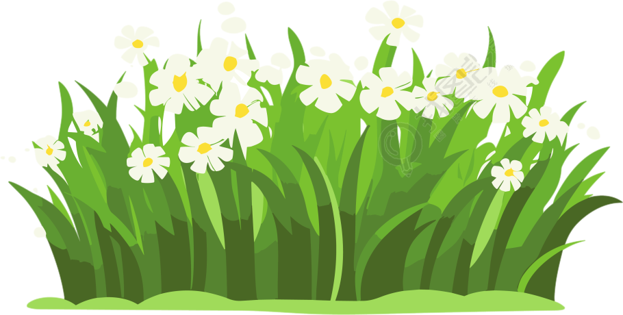小白花透明背景的矢量插画设计素材