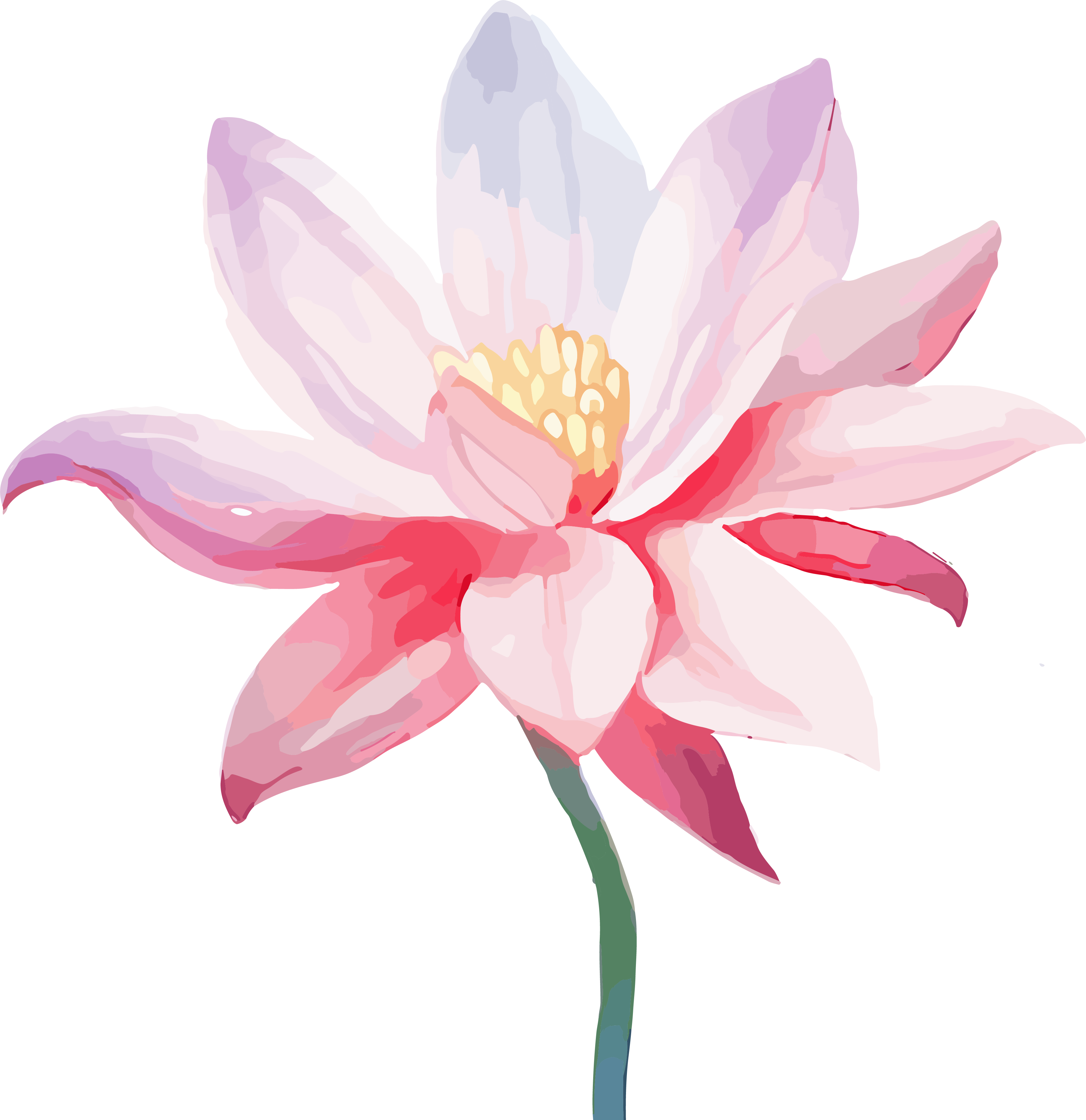 荷花花朵插画矢量素材