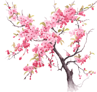 水彩花卉樱花树枝画作