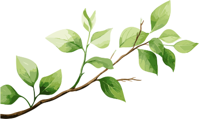 儿童书插图风格的树枝与树叶素材