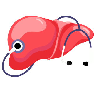 世界肝炎日肝脏插画素材