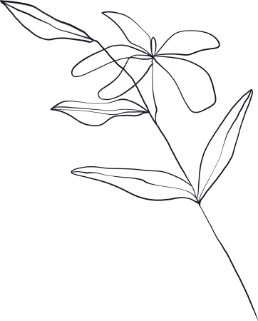 手绘简约线条植物花朵叶片素材