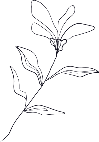 创意设计极简风线条花朵插画PNG 