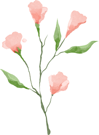 手绘夏日粉色小花商用插画
